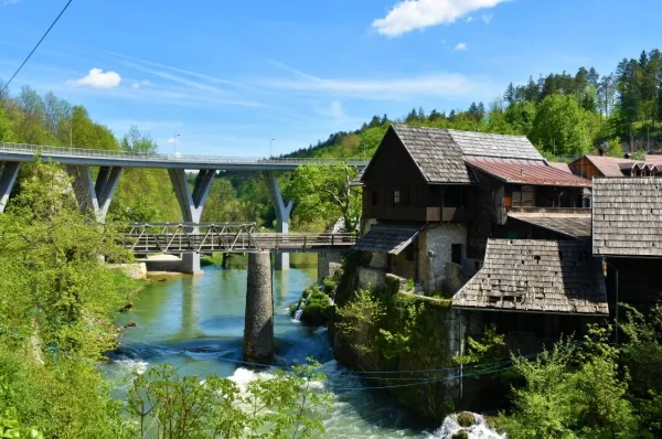 Eine rustikale Wassermühle inmitten der lebendigen Natur am Main, im Hintergrund eine Brücke.
