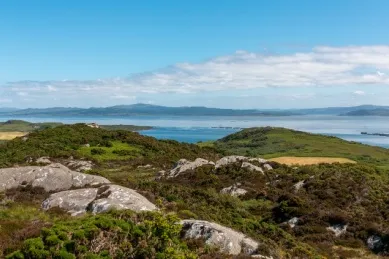 Weite Wiesen mit Blick auf die Küste auf der Insel Gigha.