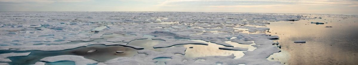 Große Fläche Packeis auf dem Polarmeer bei Sonnenschein.