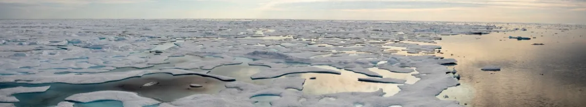 Packeis in Nunavut Große Fläche Packeis auf dem Polarmeer bei Sonnenschein.