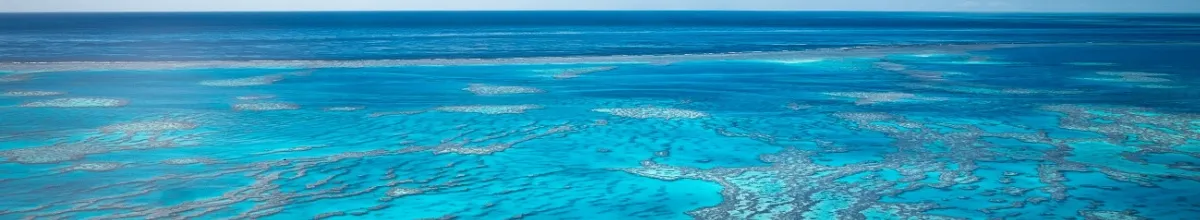 Panoramablick auf das Great Barrier Reef und das Meer.