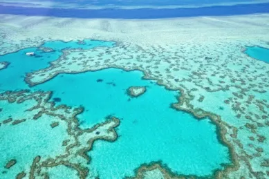 Vogelperspektive auf die Korallen des Great Barrier Reefs.