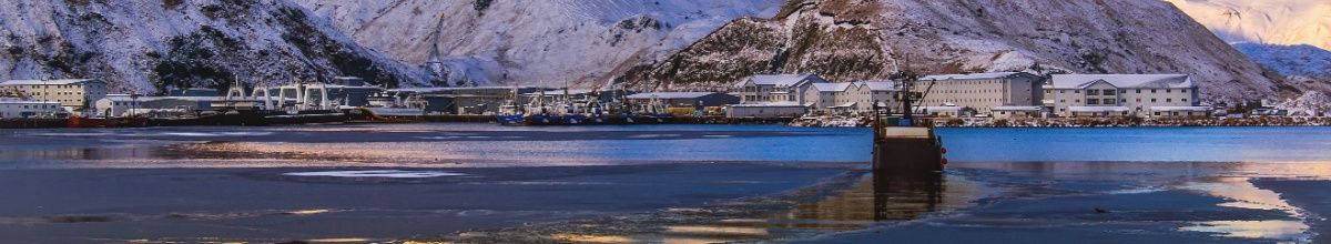 Ein Kreuzfahrtschiff, das auf eine Stadt in Alaska zufährt, mit schneebedeckten Bergen im Hintergrund.