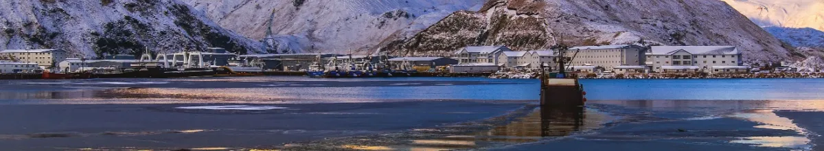Ein Kreuzfahrtschiff, das auf eine Stadt in Alaska zufährt, mit schneebedeckten Bergen im Hintergrund.