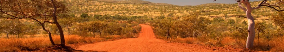 Eine Straße in Australien aus roter Erde durch eine savannenartige Landschaft mit zwei Bäumen am Tag.
