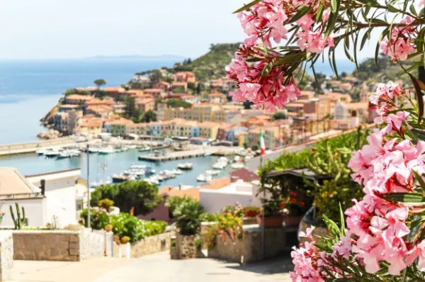Altstadt Rosa Oleander blüht im Vordergrund, im Hinterblick befindet sich der Hafen und die Altstadt von Porto Ercole.