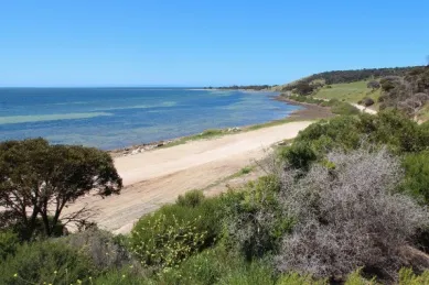 Heller Sandstrand nahe Kingscote auf Kangaroo Island.