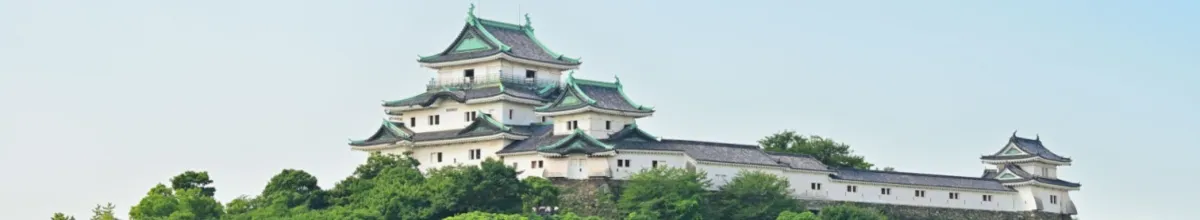Die Wayakama Burg mit ihren türkisen Dachgiebeln hoch über der Stadt auf einem grünen Berg.