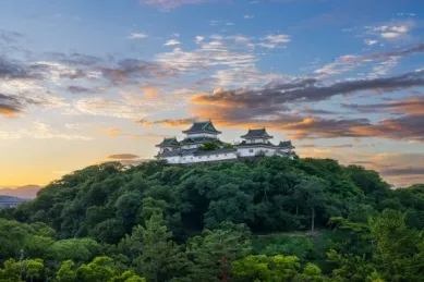 Die Burg Wakayama thront auf dem grünen Berg im Sonnenuntergang.