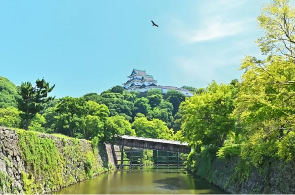 Die Burg Wayakama ist im Hintergrund zu sehen. Im Vordergrund ist ein kleiner Bach, mit einer Brücke und frühlingshaften Bäumen.