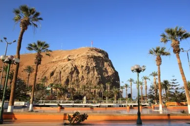Steiler Fels in Arica umgeben von Palmen unter blauem Himmel.