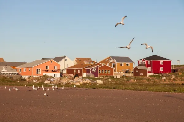 St. Pierre und Miquelon: Häuser und Möwen Die bunten Häuser von St. Pierre und Miquelon mit fliegenden Möwen und einem Acker.