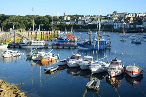 Das sonnenbeschienene Hafenbecken von Douarnenez mit vielen vertauten Booten an einem Kai.