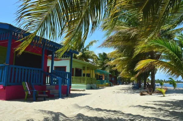 Placencia Häuser Bunte Häuser am Strand in Placencia vor grünen Palmen.