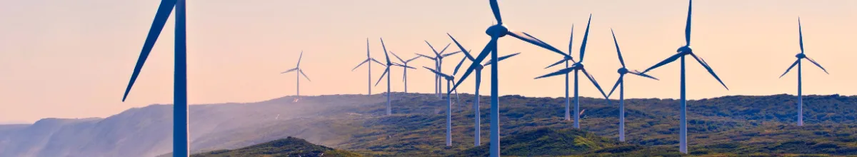 Windräder in der weiten Landschaft bei Alabany während des Sonnenunterganges.