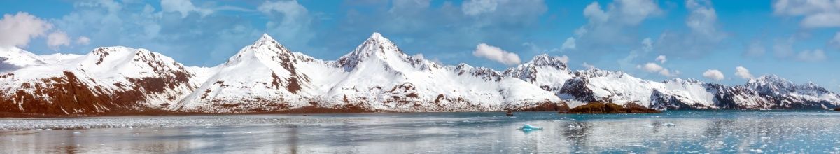 Die Gipfel der eisüberzogenen Berge ragen empor. Zusammen bilden sie den Aialik-Gletscher.