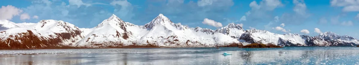 Die Gipfel der eisüberzogenen Berge ragen empor. Zusammen bilden sie den Aialik-Gletscher.