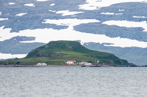 Totale der Insel Vigur Totale der Insel Vigur am Tag, mit dem angrenzenden Meerarm im Vordergrund und einem Felsmassiv im Hintgrund.