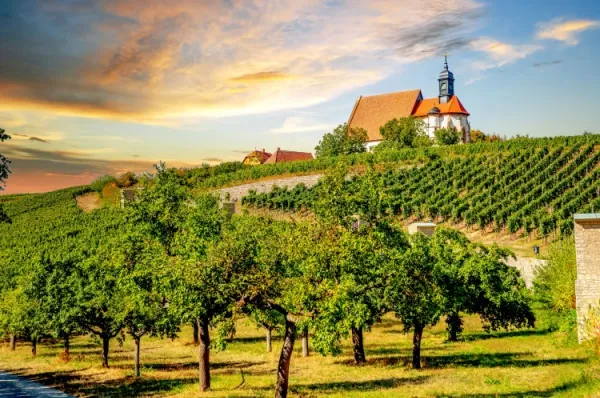 Die Kirche Maria im Weingarten hoch oben in den Weinbergen bei strahlender Sonne.