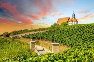 Die Kirche Maria im Weingarten auf einem Hügel, umgeben von Weinstöcken und einem kleinen Pfad.