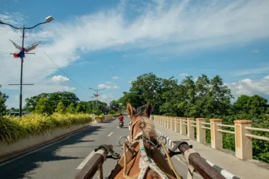 Eine Pferdekutsche reitet durch die Straßen, aufgenommen aus Perspektive des Fahrers.
