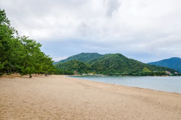 Der Strand Kehi no Matsubara bei Tsuruga am Tag, mit dichten angrenzenden Wäldern.