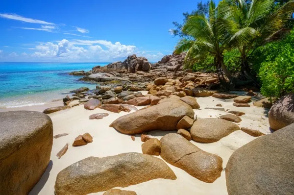 Felsen auf Curieuse Der Strand von Curieuse ist durchsetzt von großen Granitfelsen. An der Seite sind grüne Pflanzen zu sehen.