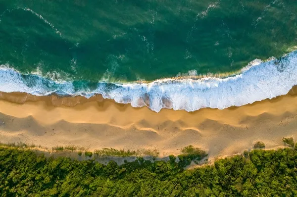 Ein Strand von oben aufgenommen. Das Bild ist in drei Teile aufgeteilt: Meer, Strand, Pflanzen.