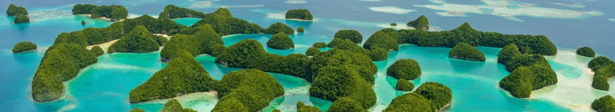 Unbewohnte Insel bei Koror im Pazifik, mit Regenwald bewachsen.
