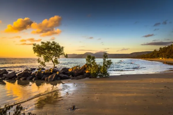 Port Douglas Strand Ein langer Sandstrand mit einem einzelnen Baum auf einer Steinformation direkt am Wasser. Der Himmel wird vom Sonnenuntergang angestrahlt.