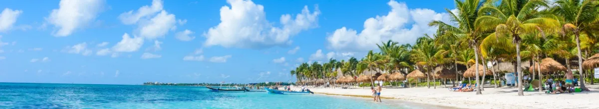 Von Palmen gesäumter Küstenabschnitt in Mexiko mit hellem Sandstrand und türkisem Meer.