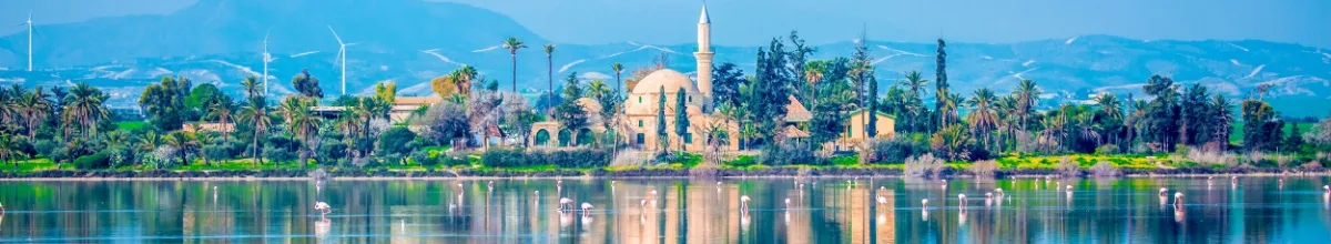 Flamingos stehen im flachen Salzsee, im Hintergrund sind alte Gebäude zu sehen.