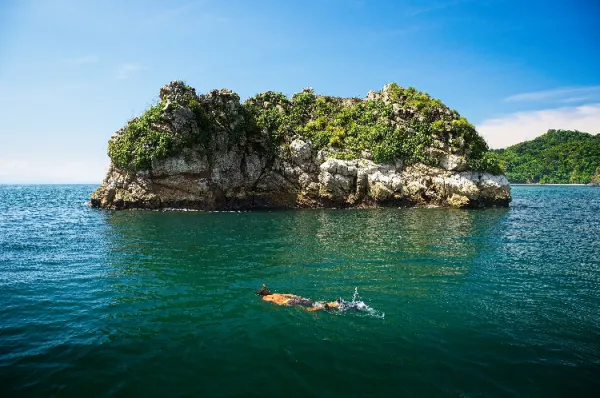 Ein Schnorchler im klaren Wasser vor der Küste der Isla Tortuga mit einem begrünten, kleinen Felsen im Hintergrund.