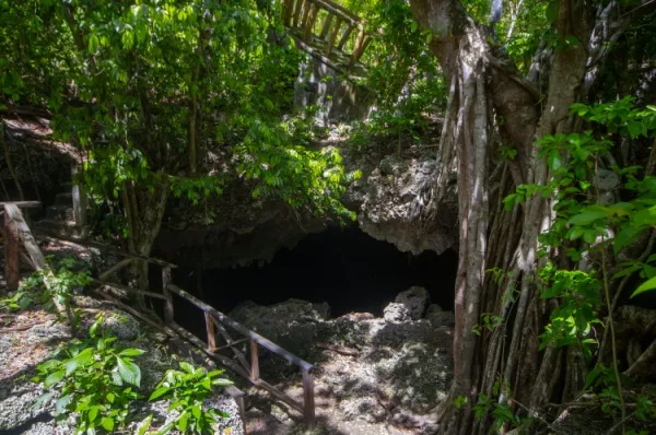 Ein dunkler Loch inmitten von üppiger Vegetation und Holz-Geländern.