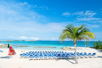 Ein weißer Sandstrand auf Great Stirrup Cay mit zahlreichen blauen Liegestühlen, einer Palme und dem Meer im Hintergrund am Tag.