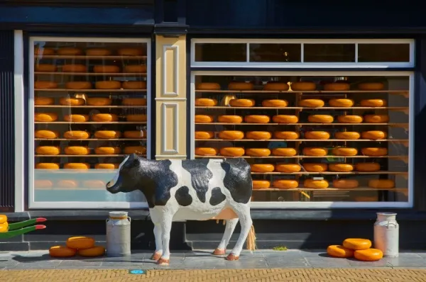 Käseshop Gouda Käseshop in der Stadt Gouda, davor steht eine Kuh-Figur.