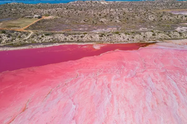 Luftaufnahme eines pinken Sees, der einen großen Kontrast zur felsigen Küste bildet.