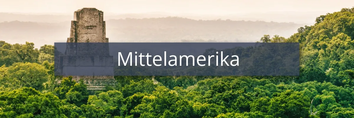 Ein Tempel ragt aus einem dichten Regenwald heraus. Im Hintergrund liegt das Meer und Berge.