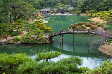 Grüner japansicher Garten, eine hölzerne Brücke führt über einen See.