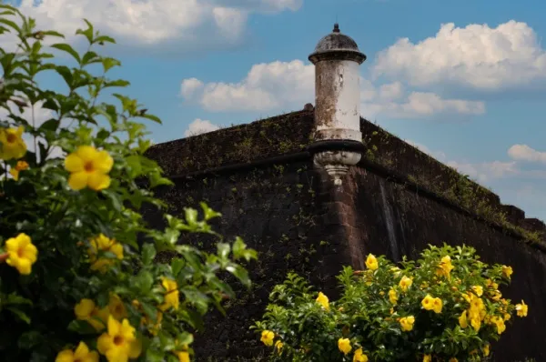 Festungsmauer und Turm in Macapá vor gelben Blüten.