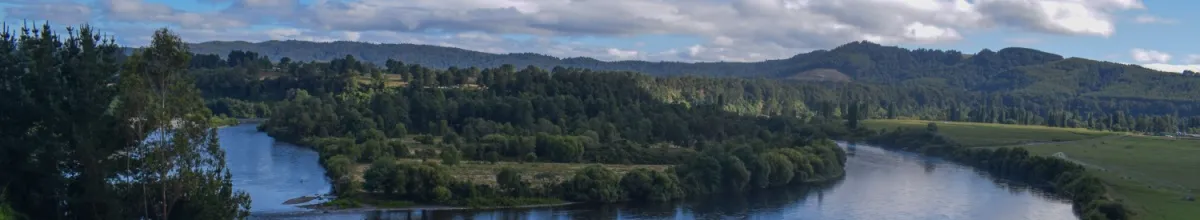 Flusslandschaft und grüne Natur.