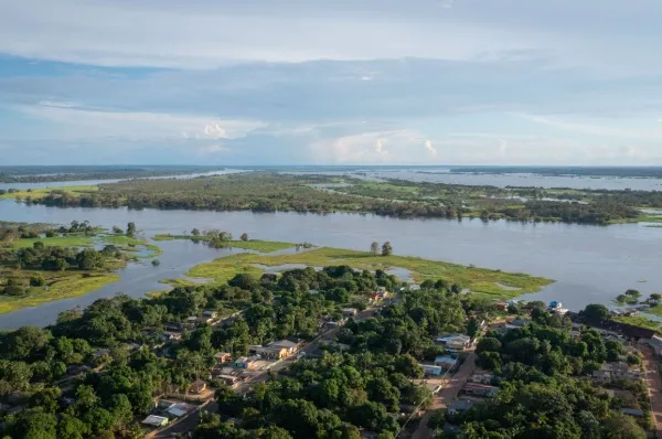 Naturgebiet am Amazonas-Fluss.