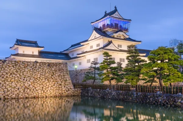 Im Dunkeln erleuchtete Burg von Toyama mit Burggraben und Burgmauer.