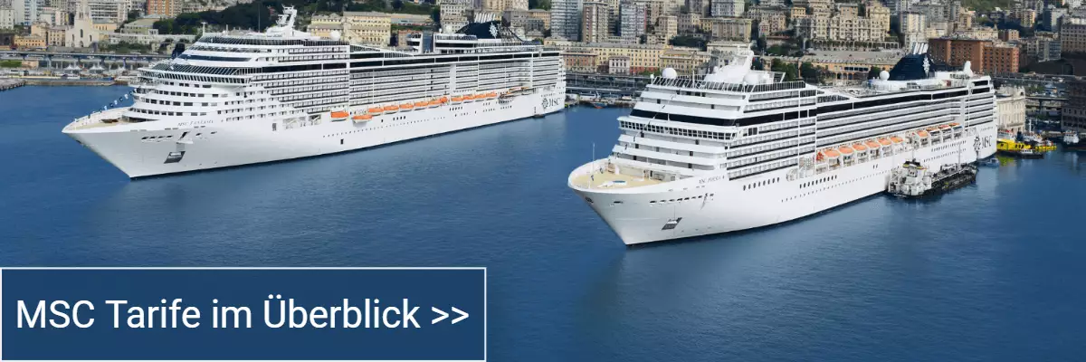 Link zum Artikel über die Erlebniswelten von MSC