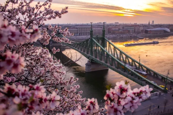 Eine Flusskreuzfahrt im Frühling umgeben von einem blühenden Baum und einer Brücke.