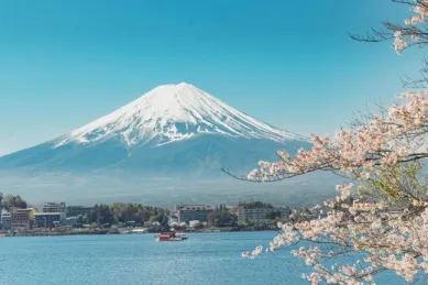 Blick auf die Küste einer Stadt in Japan während der Kirschblütezeit im Frühling.