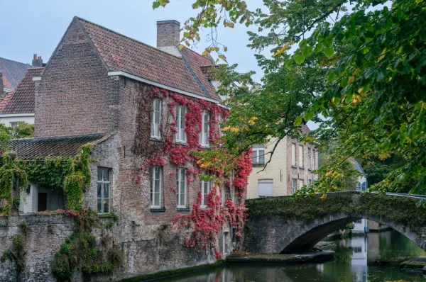 Altes Fachwerkhaus mit rotem Efeu bedeckt, daneben eine kleine Brücke in Zeebrügge.