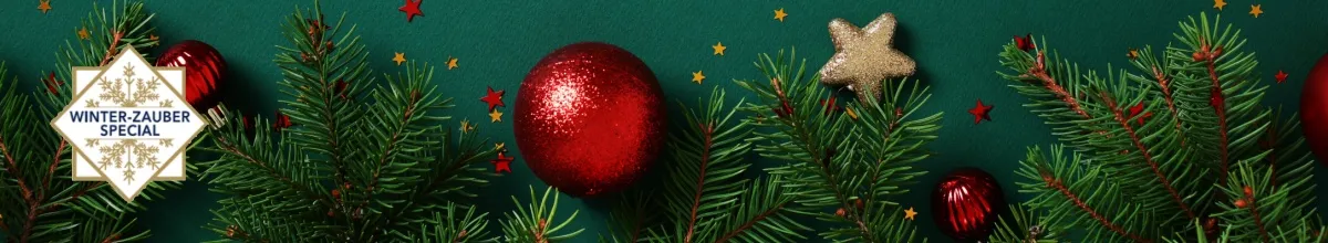 Weihnachtsmärkte, Advent und Weihnachten mit AMADEUS Symbolbild: Buchen Sie bis zum 31.10.2025 eine der ausgewählten Reisen mit AMADEUS und sichern Sie sich 50 € Bordguthaben pro Person.