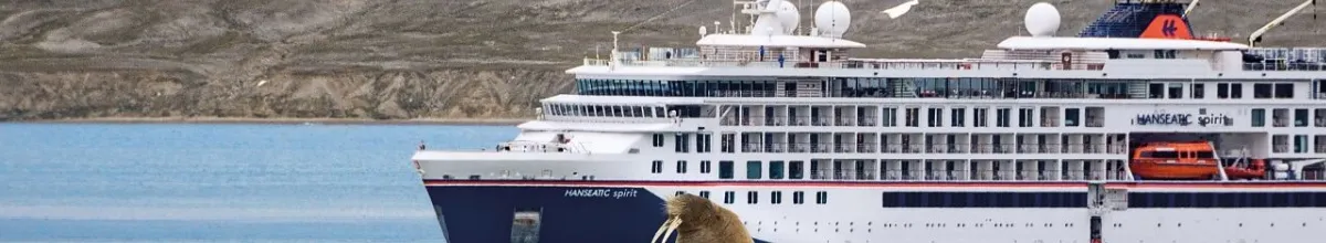 HANSEATIC spirit zieht majestätisch an riesigen Eisschorlen vorbei, vorne ist ein Walross zu sehen.