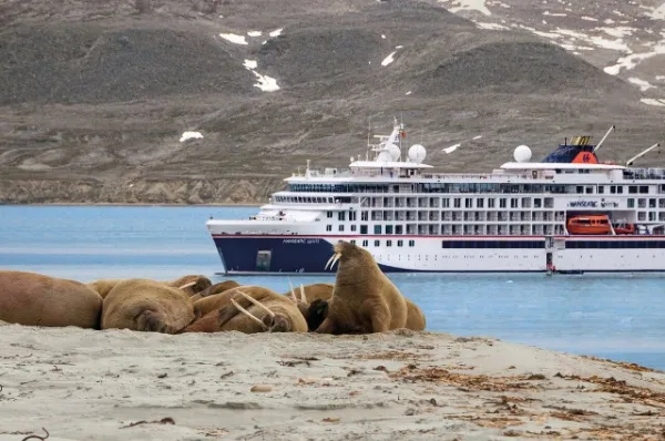 Das Schiff HANSEATIC spirit fährt durch die Gewässer vor Spitzbergen und vorne sind Seehunde zu sehen.